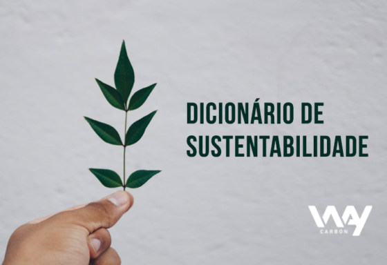 dicionário de sustentabilidade
