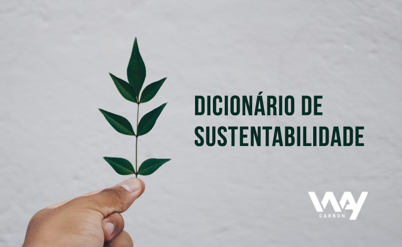 dicionário de sustentabilidade