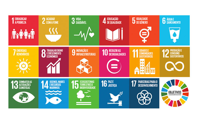Conheça os 17 Objetivos do Desenvolvimento Sustentável
