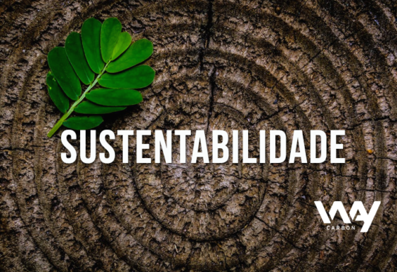 o que é sustentabilidade