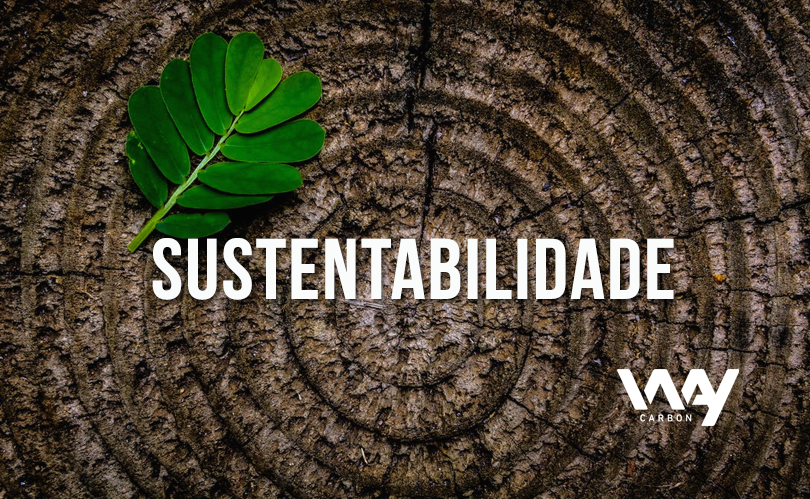 o que é sustentabilidade