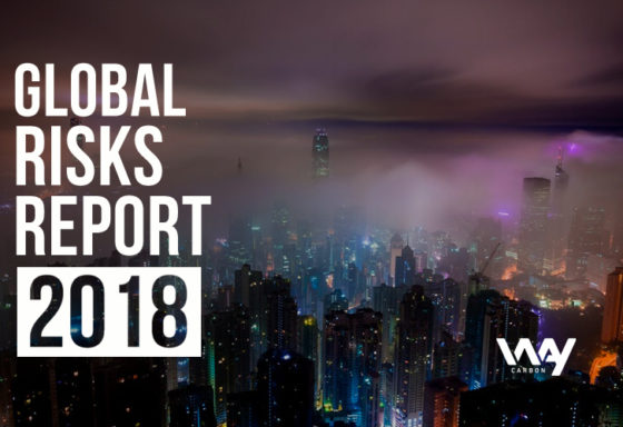 Global Risks Report
