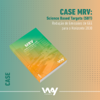 MRV Case